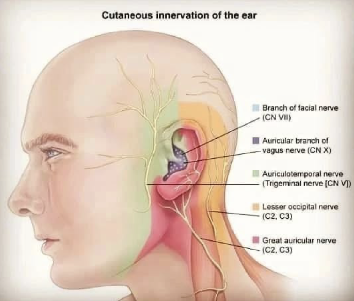Otalgia Causes Diagnosis And Treatment Expert Insights ODYO Otalgia Causes Diagnosis And Treatment Expert Insights ODYO